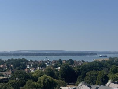 Picture 14